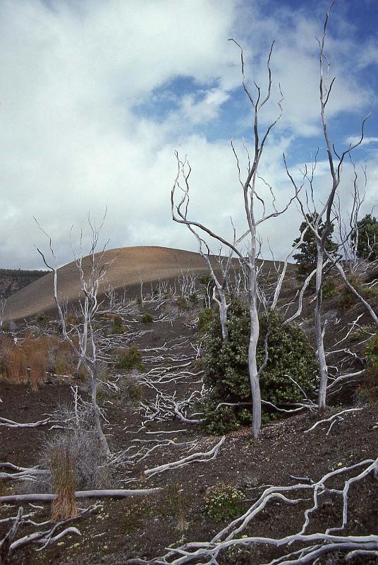 WT 0080 002-36 Hawaii Kilauea.jpg